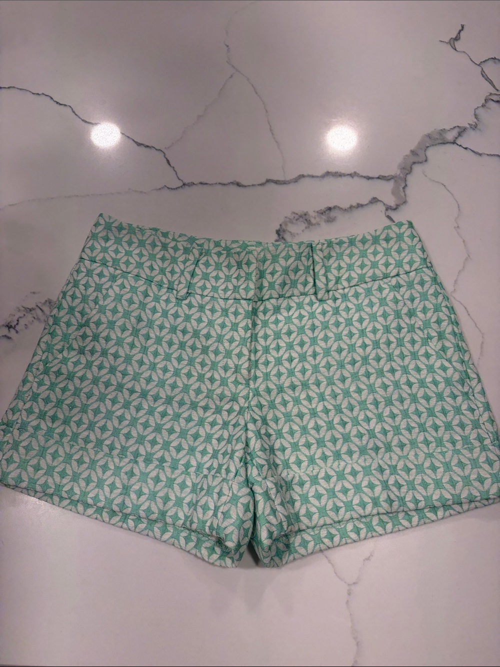 New York & Company 7th Avenue Mint Green Patterned High-Waist Shorts